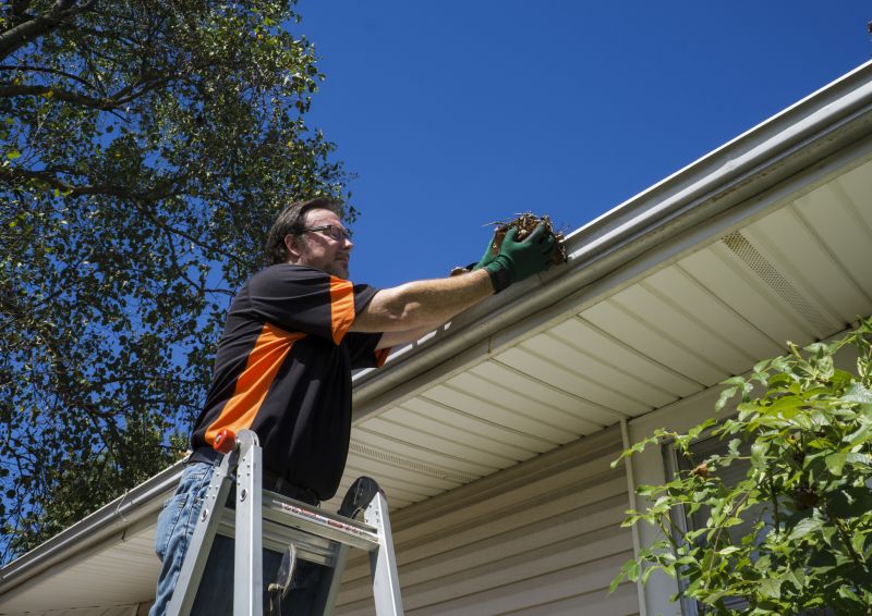 Roof and Gutter Cleaning