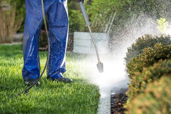 Cost of Curb Cleaning in Downingtown